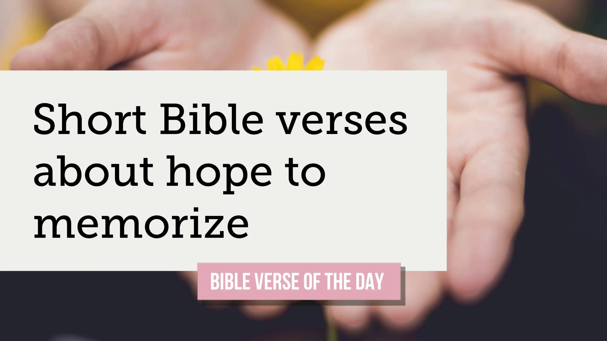 30+ Short Bible Verses About Hope to Memorize When Life Feels Dark