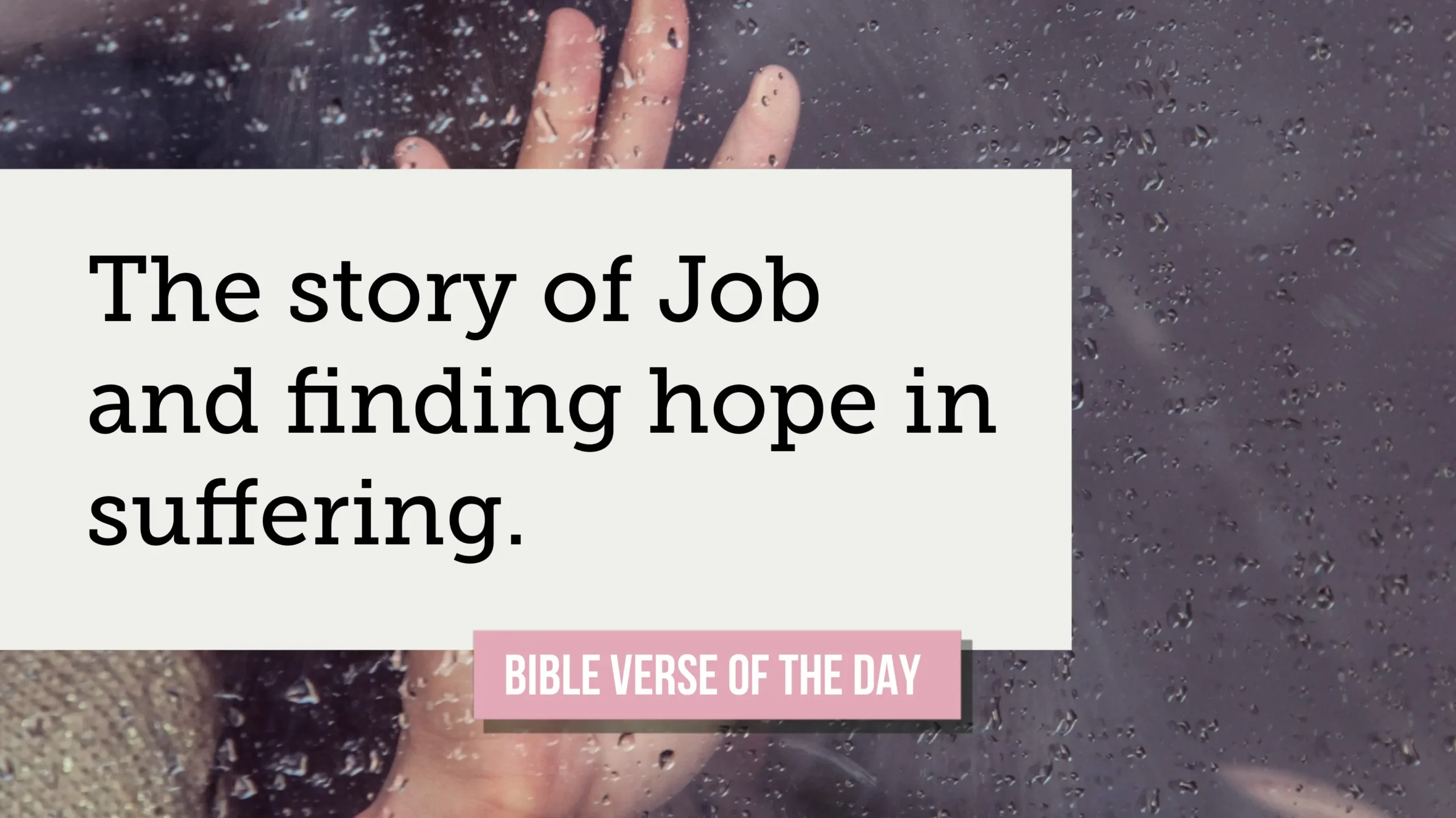Job’s Story: Finding Hope When Life Falls Apart