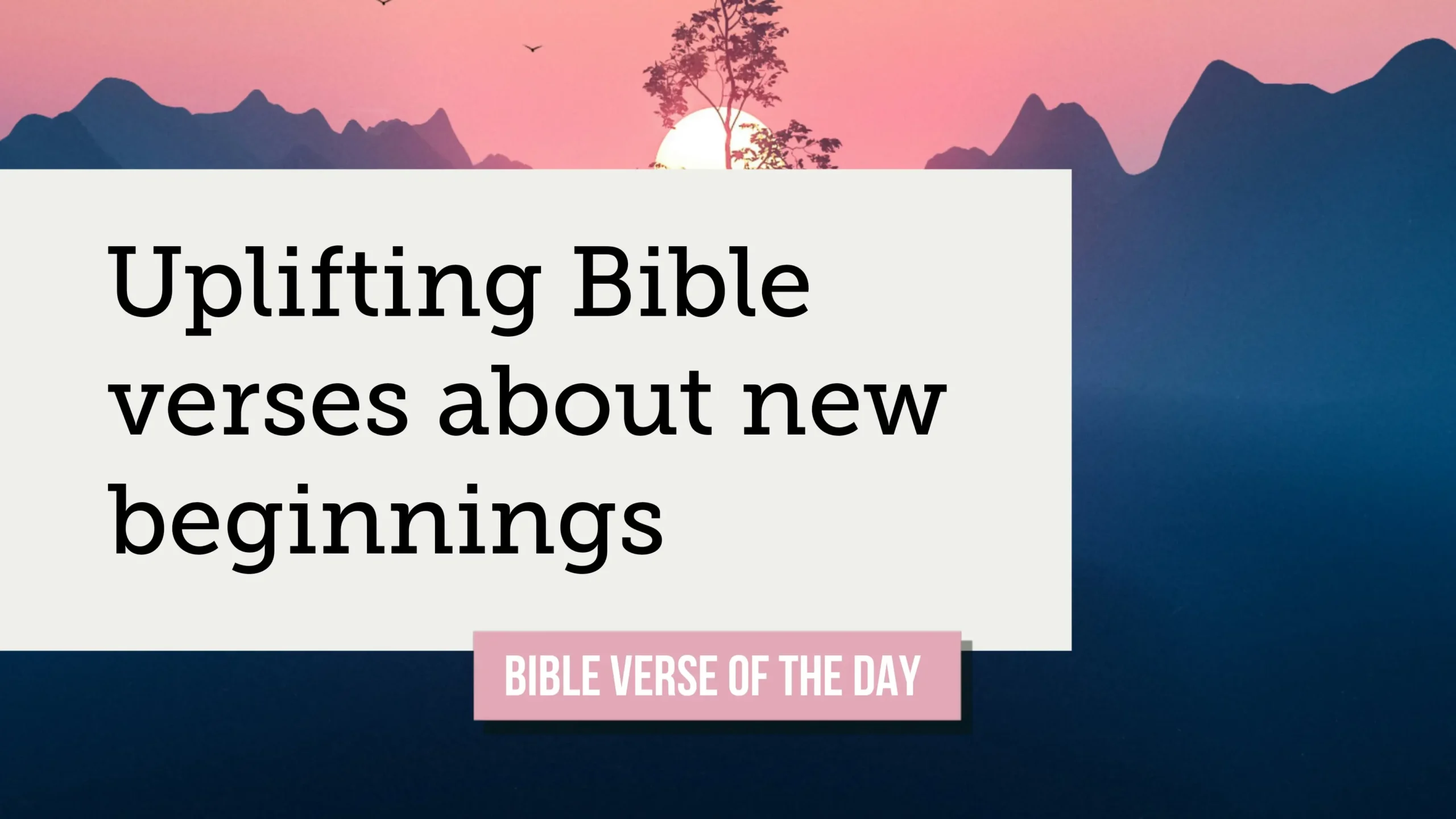 30+ Uplifting Bible Verses About New Beginnings