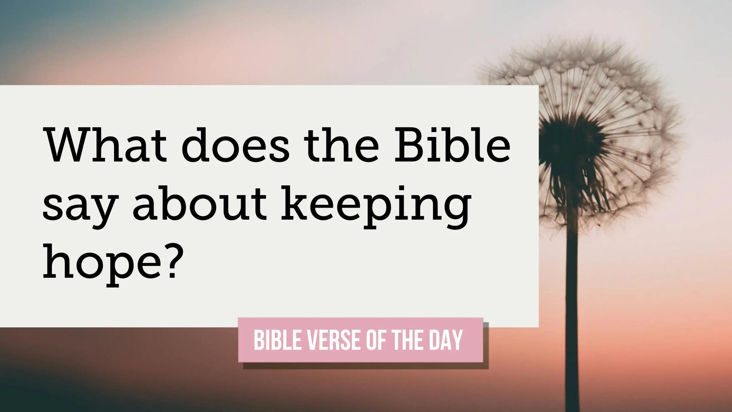 Bible Promises That Keep Hope Alive When Life Gets Hard