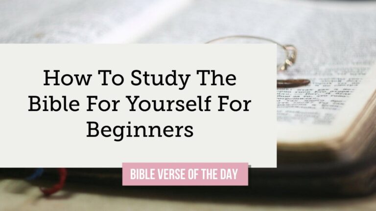 how to study the bible for yourself for beginners