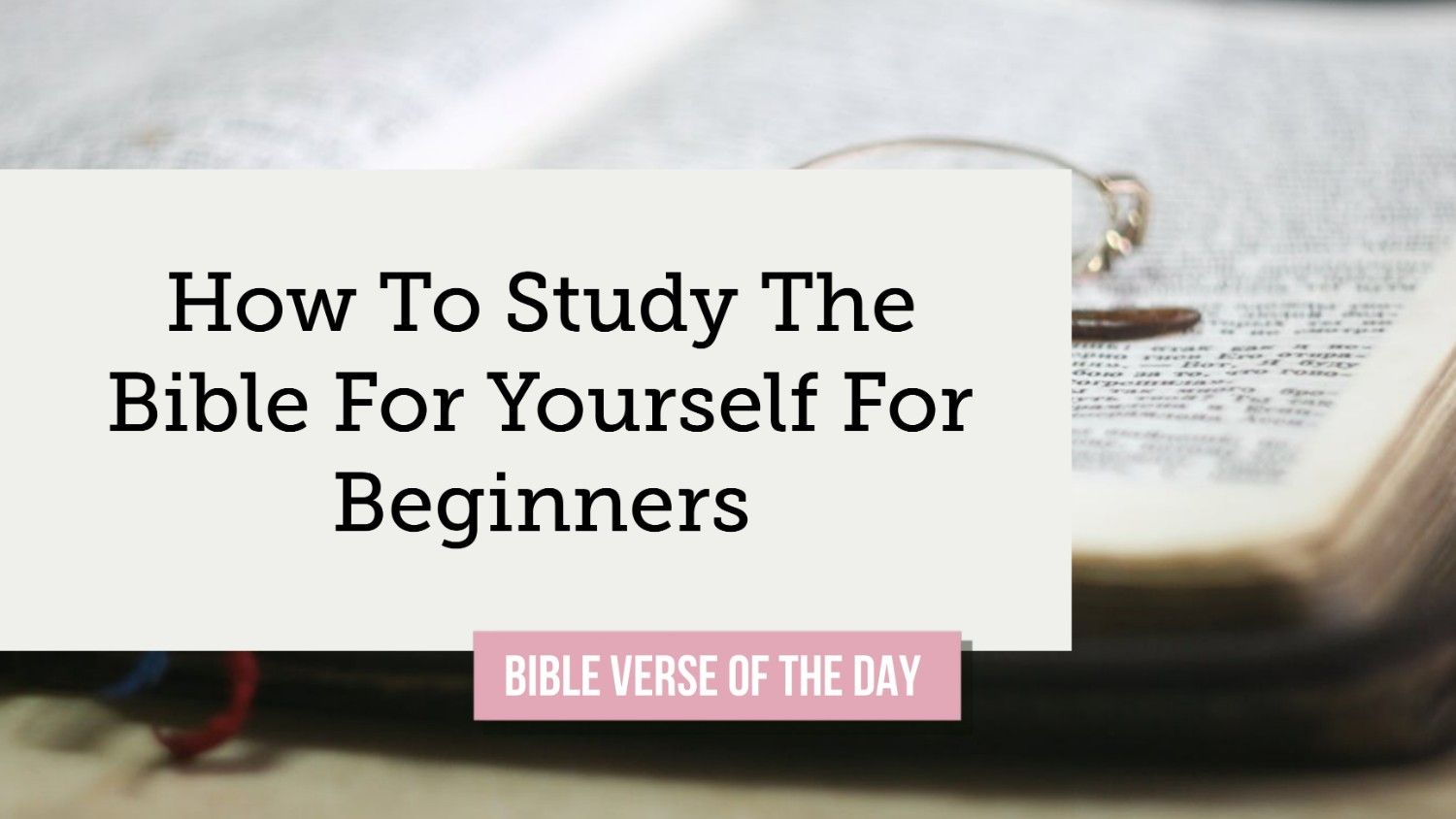how to study the bible for yourself for beginners