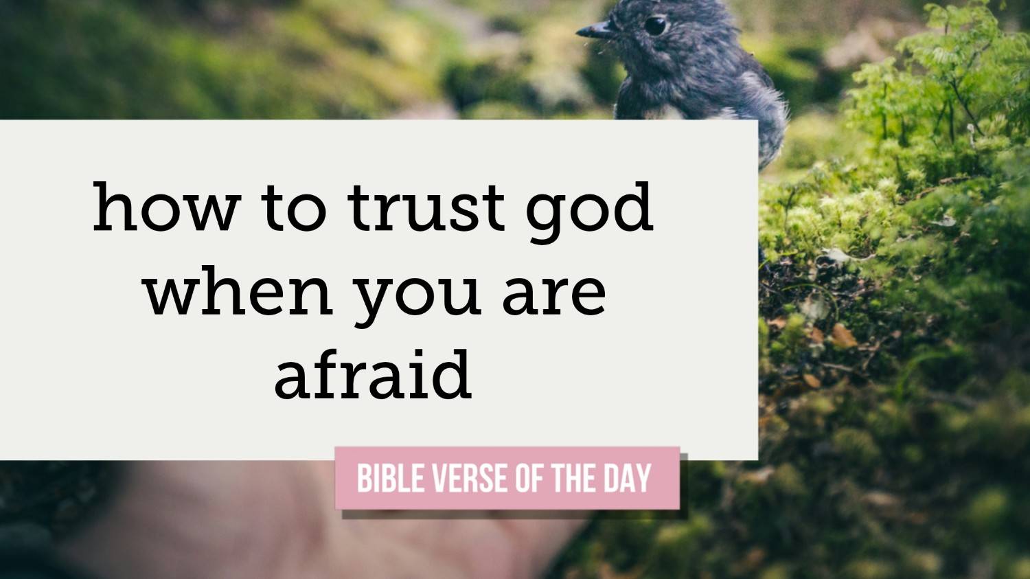 how to trust god when you are afraid